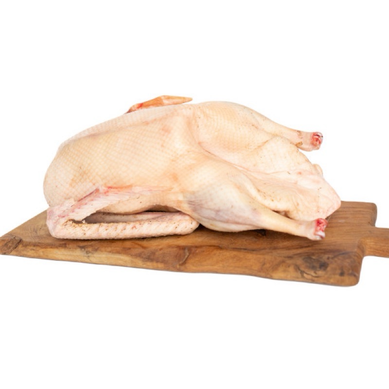 Kaczka tusza (1,4-1,9 kg)