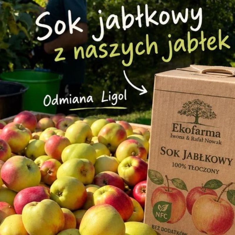 Sok jabłkowy 100% 5L