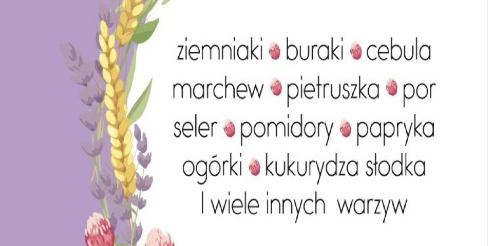 Baner sklepu Gospodarstwo Natura Suchanek Natalia — Domecko, Polska