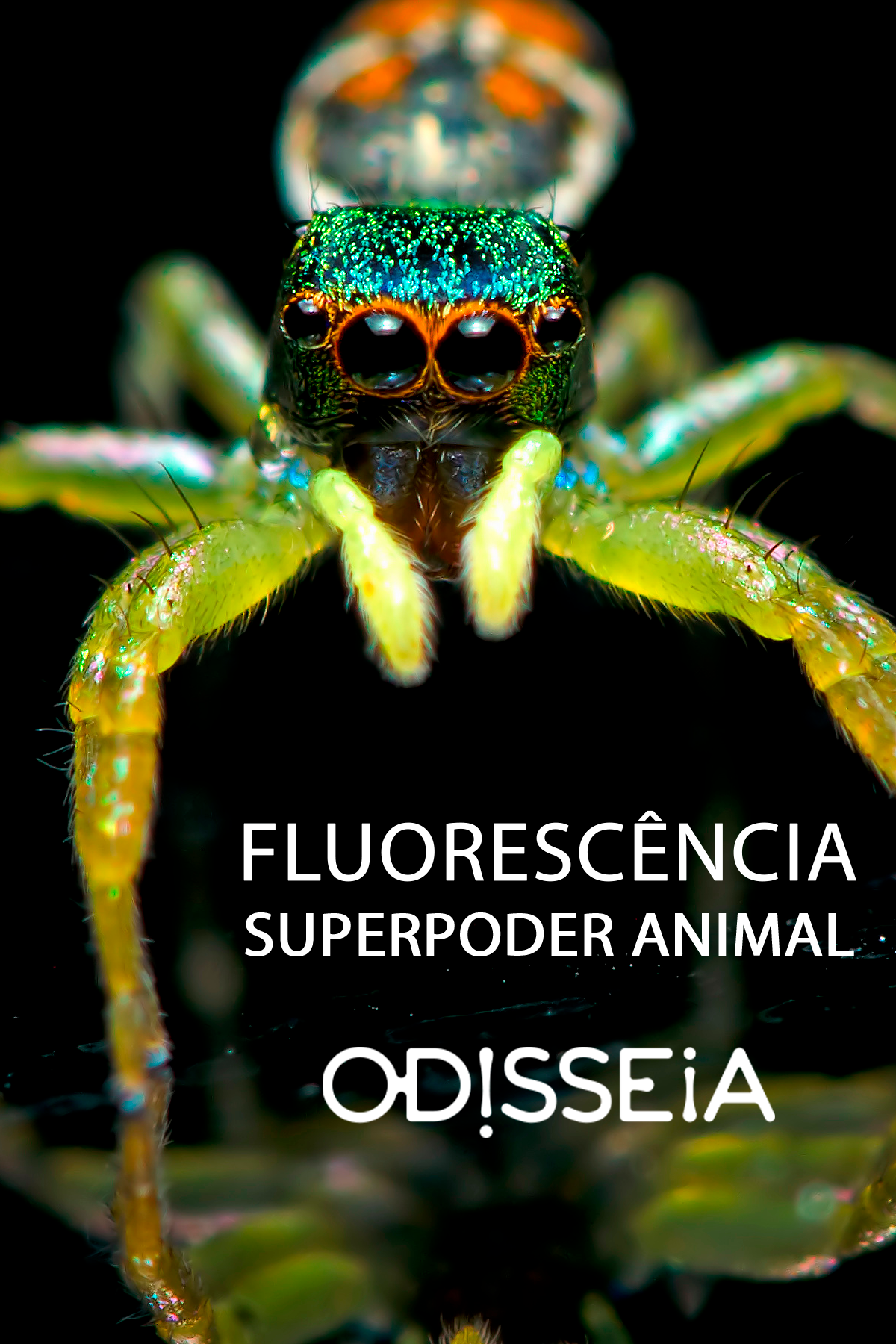 112025_ODISSEIA_FLUORESCENCIA SUPERPODER ANIMAL