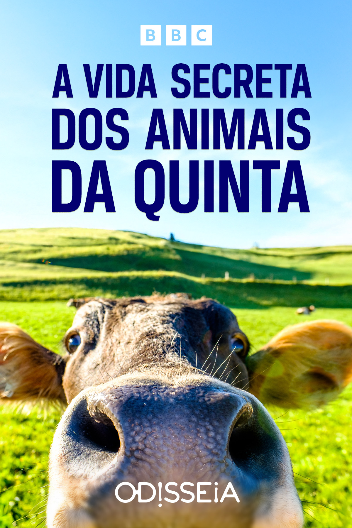 0925_VIDA_SECRETA_QUINTA